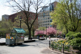 Park View  - NYU Library & Student Center