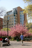 Park View  - NYU Student Center