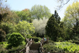 Central Park Shakespeare Garden