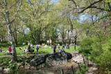 Performance Area by the Lake
