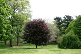 Grounds View