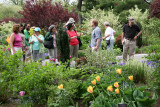 Discussion Group - Perennial Conservatory Garden