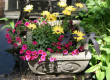 Planter Arrangement