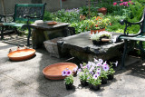 Bird Bath at the Reception Area