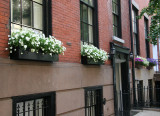 Window Flower Boxes - Northeast View from 5th Avenue