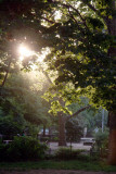 Early Evening at the Bocce Ball Courts