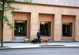 NYU Student Center Window Galleries
