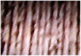 Pixeled Photo