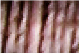 Pixeled Photo