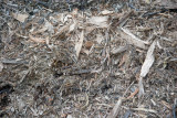 Compost Pile