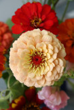 Home Grown Garden Bouquet - Zinnias