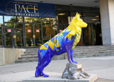 Guard Dog - Pace University at Center Street