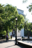 Arch & Scholar Tree