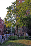 Southwest Corner of the Park