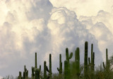 Storm Clouds in the Desert