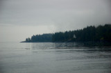 French Beach, Vancouver Island, BC