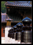 Chi Lin Nunnery