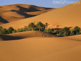 Erg Chebbi, Morocco