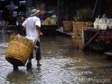 Flower Market, Bangkok, Thailand