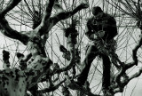 <b>man at work</b>