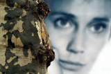 <b>the face behind the tree</b>