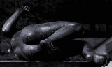 fallen angel