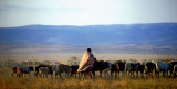 Maasai shepherd