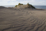 Little footprints in the dunes