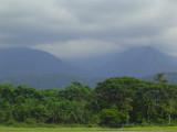Beautiful mountains and jungle
