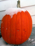 Frost On The Pumpkin (brrrrrr)