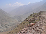 KKH and the Indus far down (left) - 201.jpg