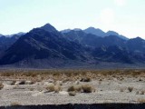165-Mojave Hills.jpg