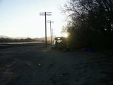 235-Jeep and Tamarisk at Sunrise.jpg