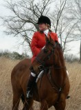 Hunting from Irish Fox Stables January 27th