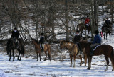 DSCN7994.JPG