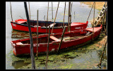 Red boats ...