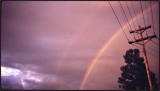 Wires a Tree and Two Rainbows