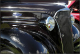 netP8260263.jpg