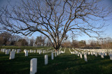 Arlington National Cemetary