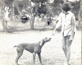 Sally, Rhodesia 1966