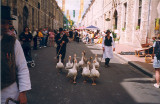 Richelieu, France