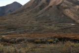 Denali Park Access Road