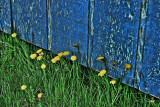 TEXTURES