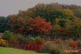 ALONG THE BRADLEY INTERNATIONAL AIRPORT RUNWAY