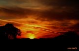 SUNRISE ON THE FIRST DAY OF NOVEMBER