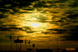 TGIF!!!!!  THIS WAS THE SUNRISE DRIVING INTO WORK!