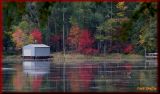 REFLECTIONS