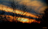 STRIPED SKY