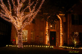 CHRISTMAS LIGHTS NUMBER 7