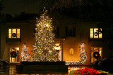 CHRISTMAS TREE IN FRONT OF HOUSE